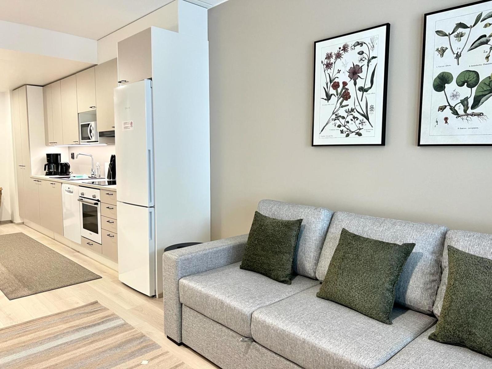 Kotimaailma Apartments Tervapaeaesky I 奥卢 外观 照片